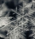 snowflakes macro