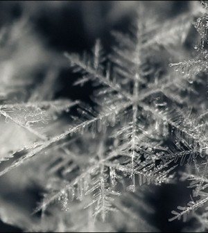 snowflakes macro