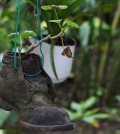 bootplanter