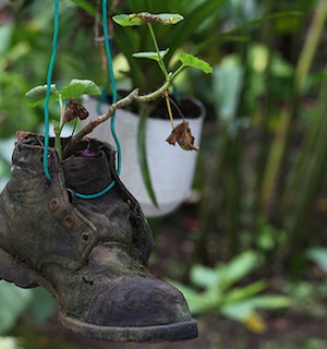 bootplanter