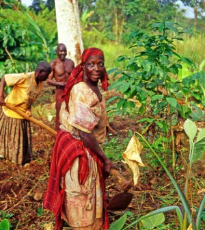 Women Farming in Uganda